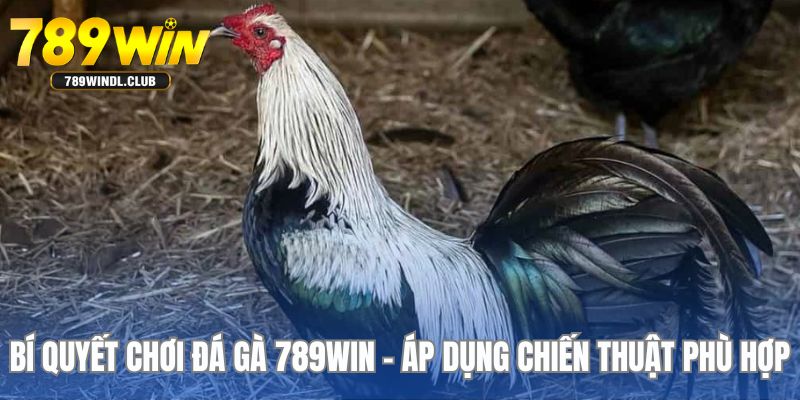 Nghiên cứu chiến thuật chơi phù hợp với riêng mình Nghiên cứu chiến thuật chơi phù hợp với riêng mình