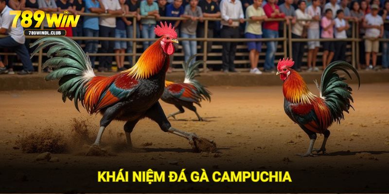 Khái niệm đá gà Campuchia Khái niệm đá gà Campuchia