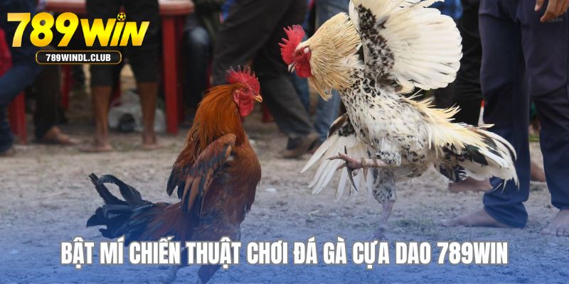 Bật mí kinh nghiệm phá đảo chọi kê cựa dao từ cao thủ Bật mí kinh nghiệm phá đảo chọi kê cựa dao từ cao thủ