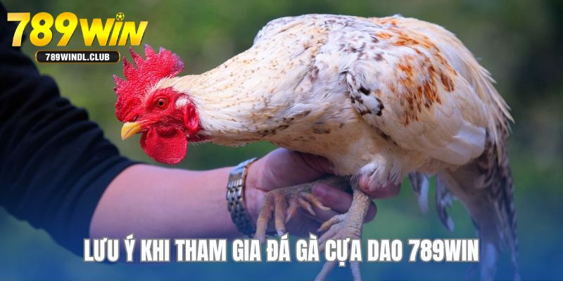 Bỏ túi các lưu ý để tham gia đá gà cựa dao Bỏ túi các lưu ý để tham gia đá gà cựa dao