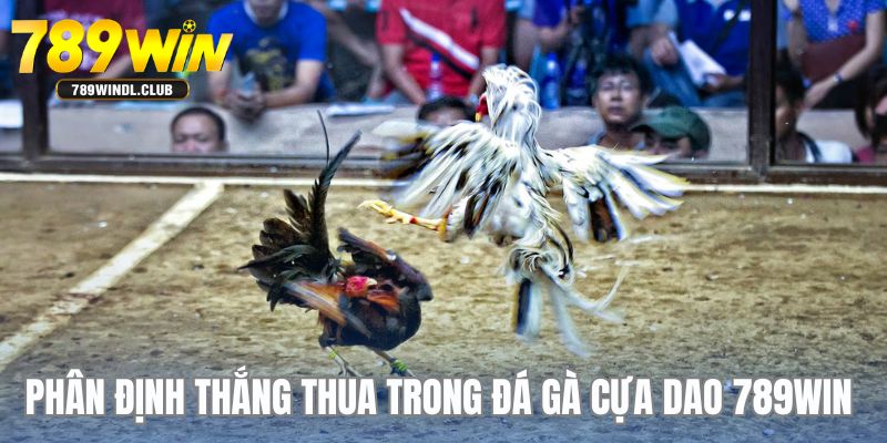 Cách phân định thắng thua trong một trận đá gà cựa dao tại nhà cái 789WIN Cách phân định thắng thua trong một trận đá gà cựa dao tại nhà cái 789WIN