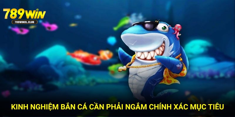 Kinh nghiệm bắn cá cần phải ngắm chính xác mục tiêu Kinh nghiệm bắn cá cần phải ngắm chính xác mục tiêu