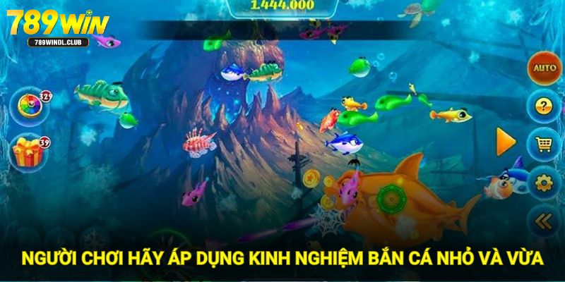 Người chơi hãy áp dụng kinh nghiệm bắn cá nhỏ và vừa Người chơi hãy áp dụng kinh nghiệm bắn cá nhỏ và vừa