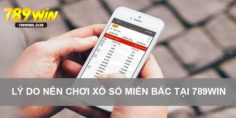 Lý do nên chơi xổ số miền Bắc tại 789Win Lý do nên chơi xổ số miền Bắc tại 789Win