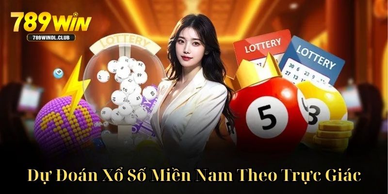 Trực giác của người chơi thường đưa ra phán đoán chính xác Trực giác của người chơi thường đưa ra phán đoán chính xác